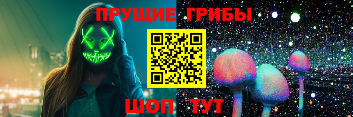 Псилоцибиновые грибы Psilocybine cubensis Ессентуки