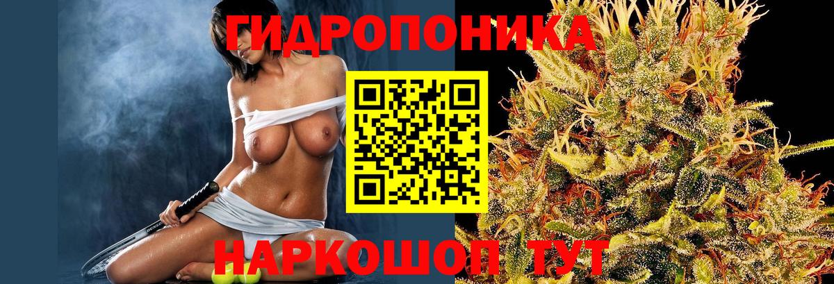 Бошки Шишки THC 21% Ессентуки